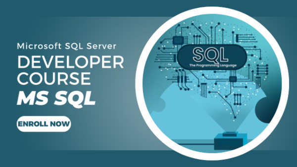 MS SQL Developer Course